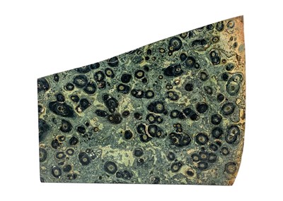 Lot 169 - A large Kambaba jasper fossilised mineral specimen.