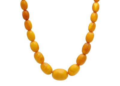 Lot 49 - A butterscotch amber oval bead necklace.