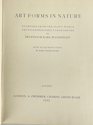 Lot 166 - (Photography) BLOSSFELD, Karl