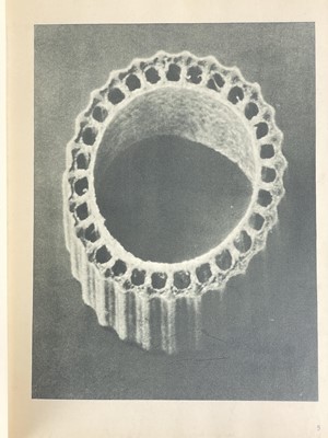 Lot 166 - (Photography) BLOSSFELD, Karl