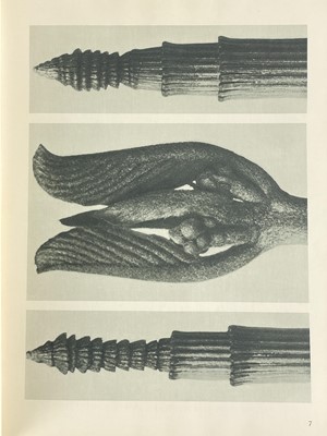 Lot 166 - (Photography) BLOSSFELD, Karl