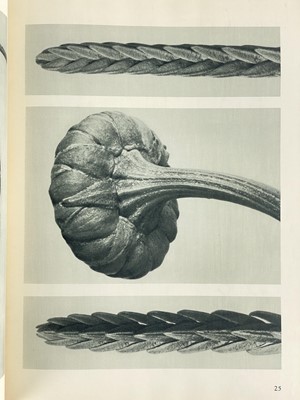 Lot 166 - (Photography) BLOSSFELD, Karl