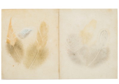 Lot 58 - An assortment of collectibles and sundry.