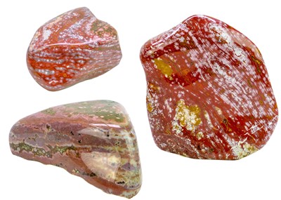 Lot 124 - Three ocean jasper mineral specimens.