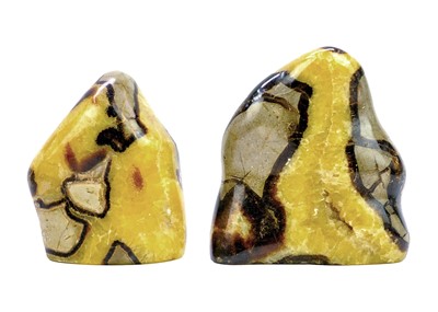 Lot 100 - Two Septarian mineral specimens.