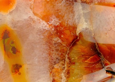 Lot 91 - Four polished mineral specimens.