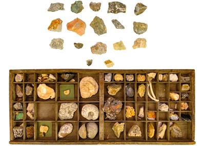 Lot 101 - A collection of minerals and fossils.