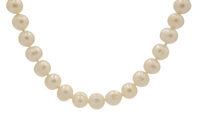 Lot 277 - A long cultured pearl necklace.