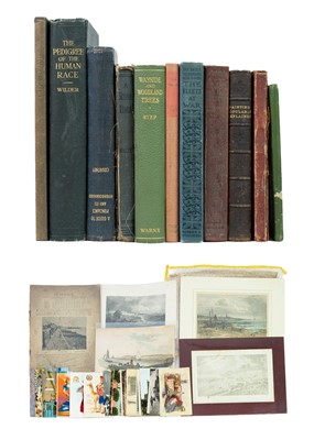 Lot 928 - Penzance Postcards, Prints, Books etc