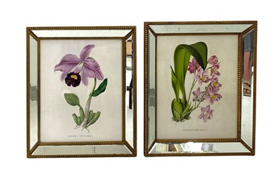 Lot 1370 - Gilt mirrored frames