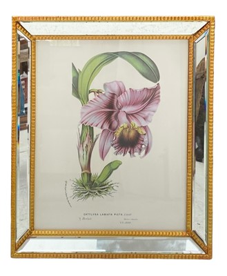 Lot 1370 - Gilt mirrored frames