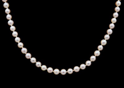 Lot 151 - A string of cultured cream pearls with a 9ct oval clasp.