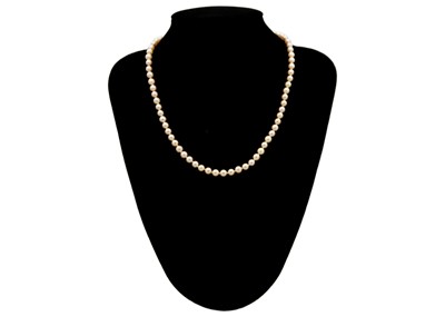 Lot 151 - A string of cultured cream pearls with a 9ct oval clasp.