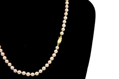 Lot 151 - A string of cultured cream pearls with a 9ct oval clasp.