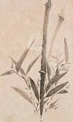 Lot 32 - A framed watercolour of bamboo, Shozan, mid 19th century.