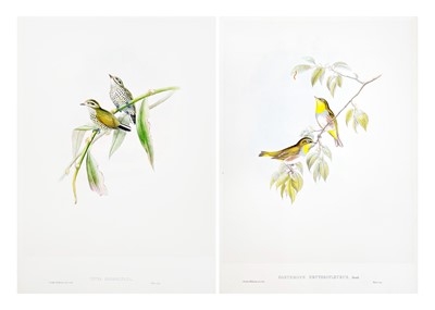 Lot 143 - John Gould and H.C. Richter