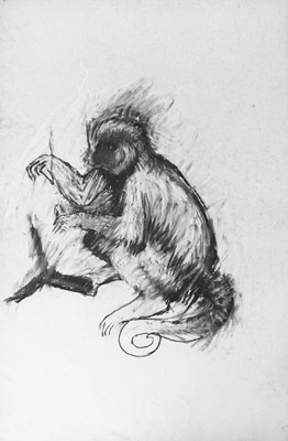 Lot 179 - Barrie COOK (1929-2020)