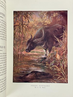 Lot 128 - Frank Finn