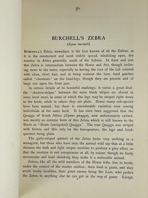 Lot 128 - Frank Finn