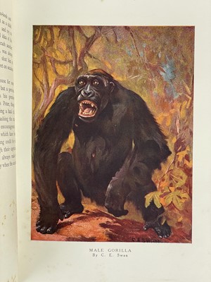 Lot 128 - Frank Finn