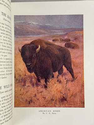 Lot 128 - Frank Finn