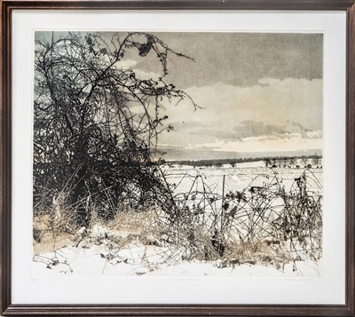 Lot 142 - Phil GREENWOOD (1943)