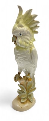 Lot 572 - A Royal Dux porcelain figure of a cockatoo perched on a branch.