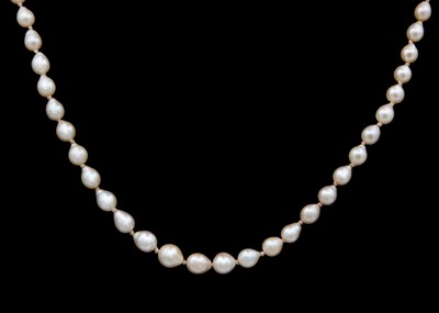 Lot 172 - A graduated cultured cream pearl necklace with gold diamond set clasp.