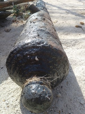Lot 573 - A George III Cannon