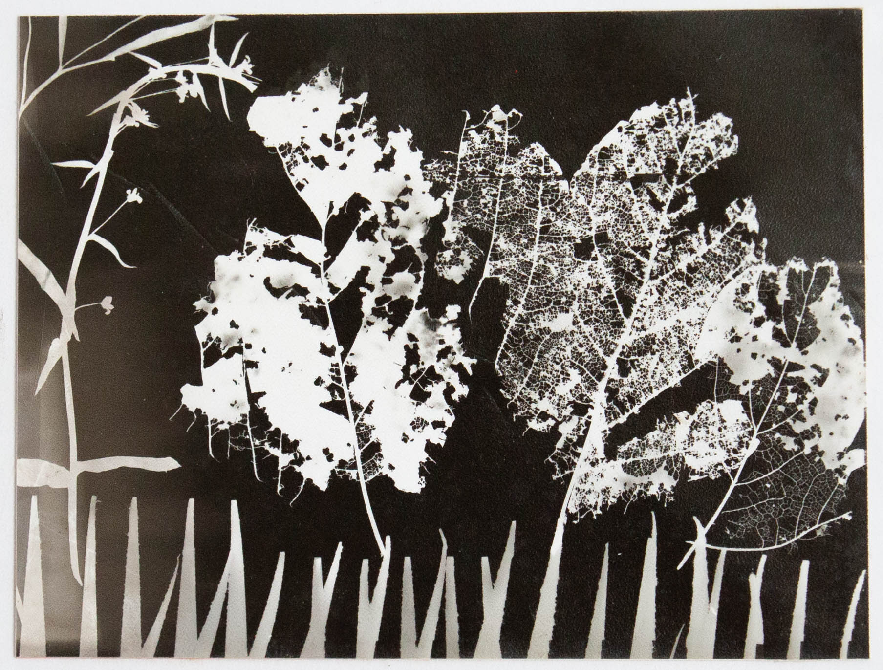 Lot 108 - Ray BARRY (1931-2022)