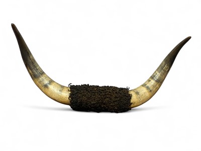 Lot 143 - A pair of buffalo horns.