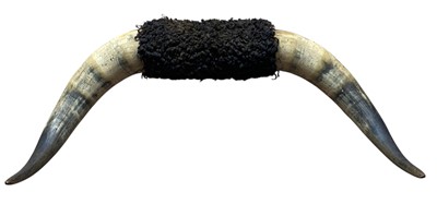 Lot 143 - A pair of buffalo horns.