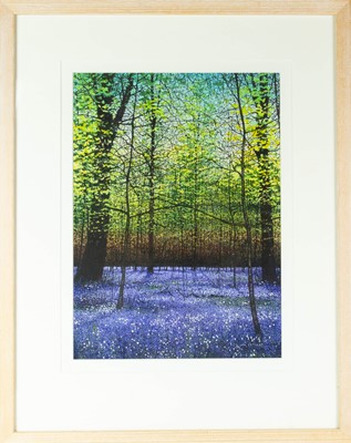 Lot 299 - Ian PETHERS (1956, Member of the Society of Botanical Artists)