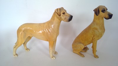 Lot 59 - A Beswick Great Dane with a 'Dogs Galore'...