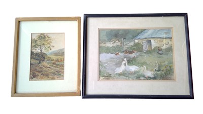 Lot 76 - Geese watercolour, signed Sybil with another...