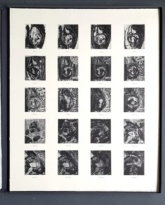 Lot 1039 - Adam Lowe (British, b.1959) LAS FRUTAS...