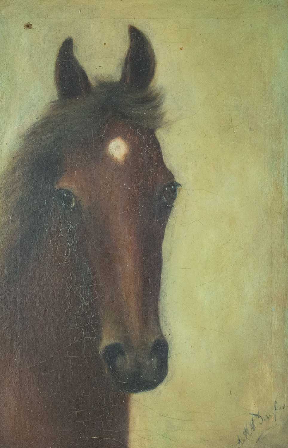 Lot 47 - A.W.M. DOUGLAS (XIX-XX)