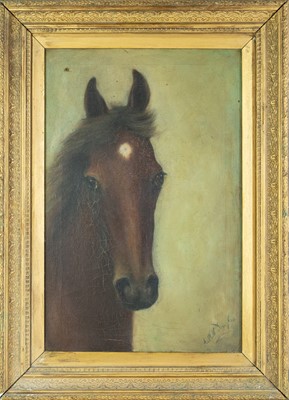 Lot 47 - A.W.M. DOUGLAS (XIX-XX)