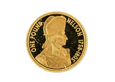 Lot 9 - An Elizabeth II Alderney 2005 one pound Nelson 1758-1805 commemorative gold proof coin.