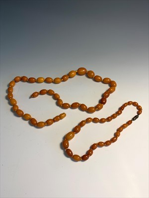 Lot 2607 - A butterscotch amber necklace the largest bead...