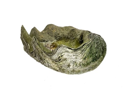 Lot 373 - A giant clam shell, well weathered.