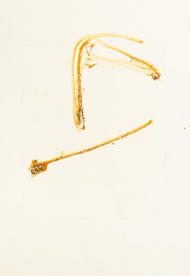 Lot 326 - Sandra BLOW (1925-2006)