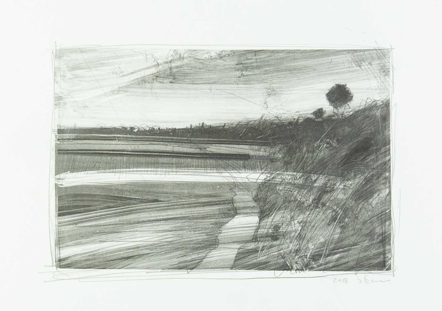 Lot 294 - Sara BEVAN (1976)