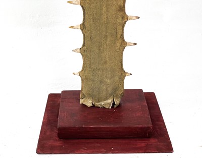 Lot 148 - Natural History: A sawfish rostrum