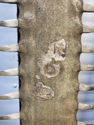 Lot 148 - Natural History: A sawfish rostrum