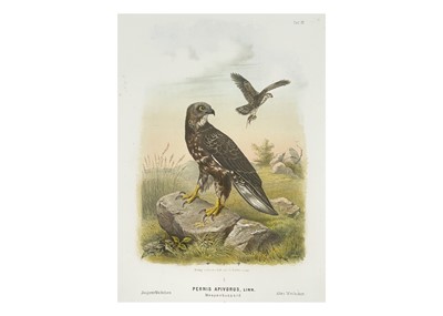 Lot 426 - Six large lithographs