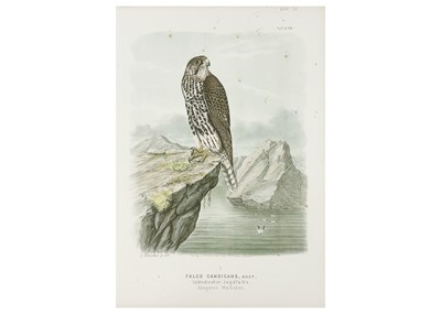 Lot 426 - Six large lithographs