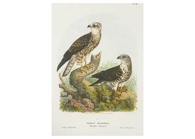 Lot 426 - Six large lithographs