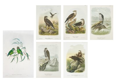 Lot 426 - Six large lithographs