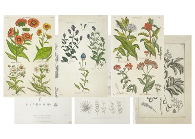 Lot 427 - Approximately twenty seven botanical prints